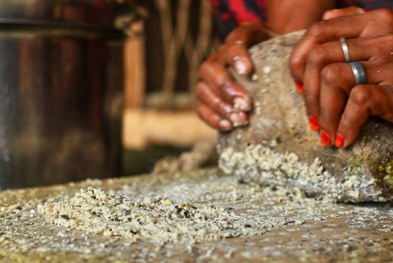 Village Experience near Panna